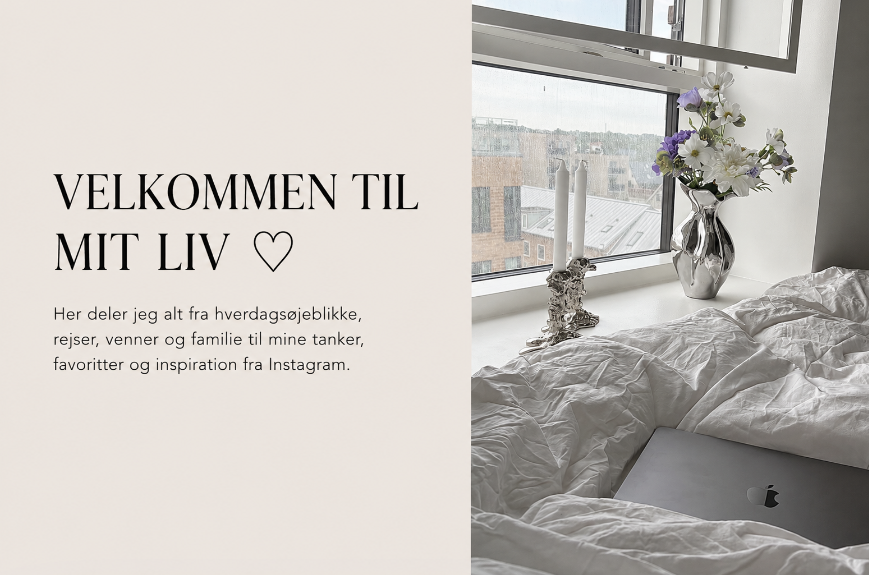Forsiden fra Mit liv i billeder